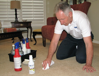 stan spot cleaning carpet